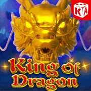Trải nghiệm đa dạng